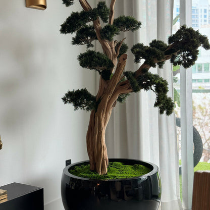 Vase avec Bonsai