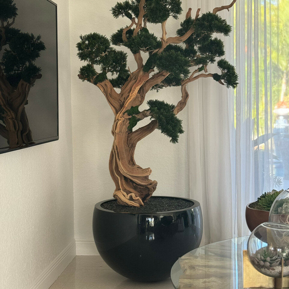 Vase avec Bonsai